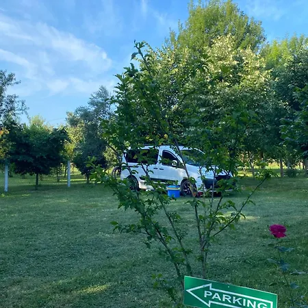 Oazi Campsite Lezhe