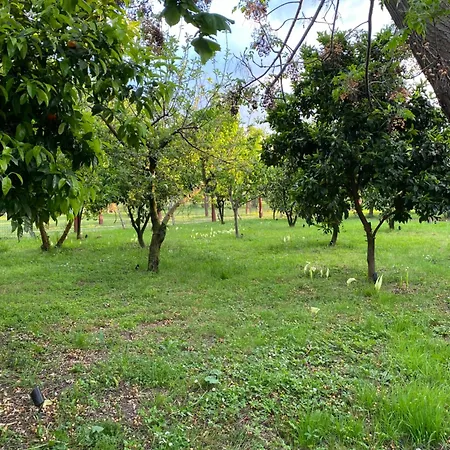Oazi Campsite