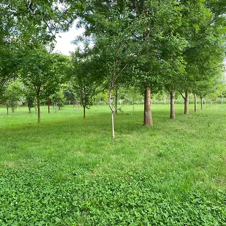 Campsite Oazi Lezhe