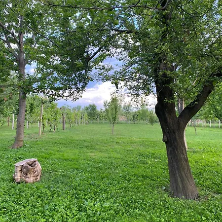 Oazi مكان تخييم Lezhë